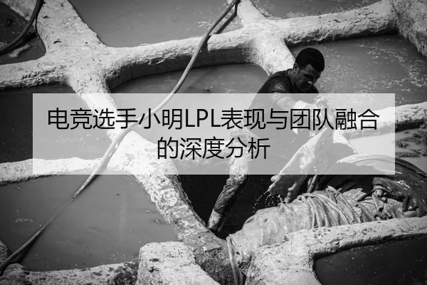 dian-jing-xuan-shou-xiao-ming-biao-xian-yu-tuan-dui-rong-he-de-shen-du-fen-xi-2-344.jpg