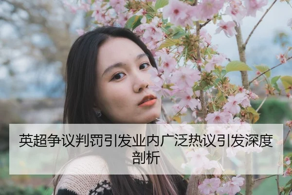 ying-chao-zheng-yi-pan-fa-yin-fa-ye-nei-guang-fan-re-yi-yin-fa-shen-du-pou-xi-2-335.jpg